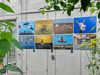 Bilder von Frank Meier