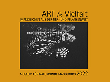 ART & Vielfalt 2022