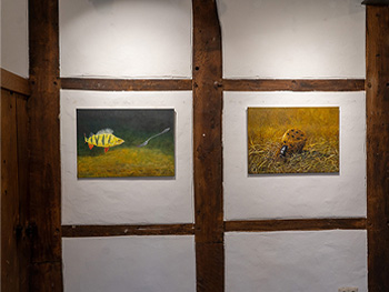 Bilder von Frank Meier