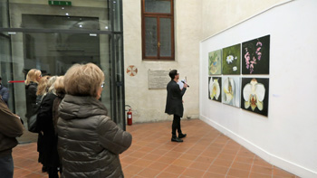 Kunstausstellung in Sacile